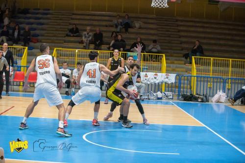 Tigers-Virtus-Imola-111