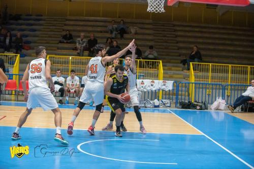 Tigers-Virtus-Imola-112