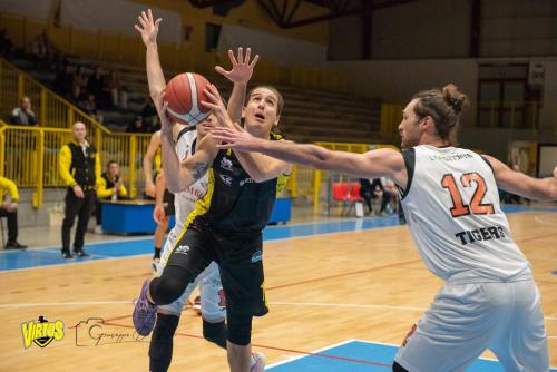 Tigers-Virtus-Imola-13