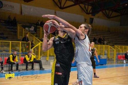 Tigers-Virtus-Imola-15