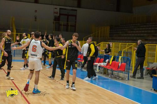 Tigers-Virtus-Imola-161