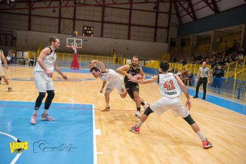 Tigers-Virtus-Imola-24