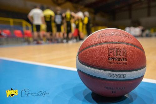 Tigers-Virtus-Imola-31