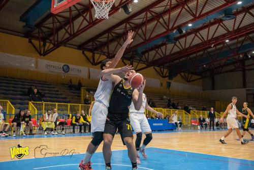 Tigers-Virtus-Imola-40